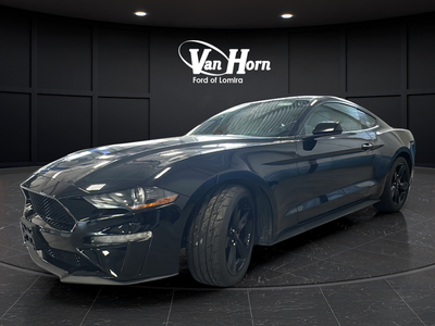 2020 Ford Mustang EcoBoost