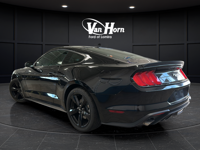 2020 Ford Mustang EcoBoost