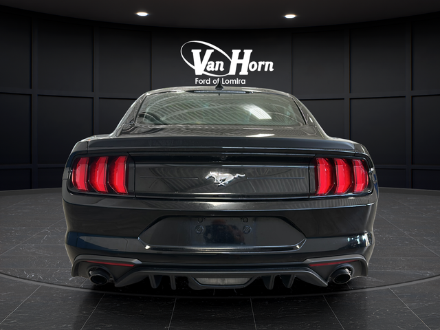 2020 Ford Mustang EcoBoost