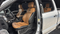 2023 Ford F-250SD Platinum
