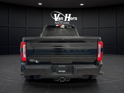 2025 Ford F-450SD Platinum DRW