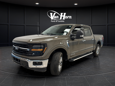 2025 Ford F-150 XLT Hybrid