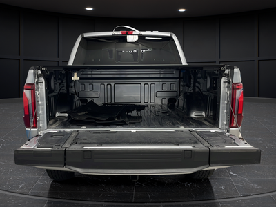 2025 Ford F-150 Platinum Hybrid