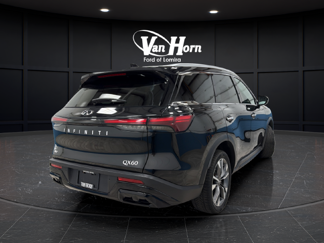 2024 INFINITI QX60 LUXE